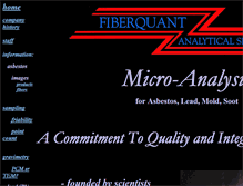 Tablet Screenshot of fiberquant.com